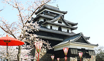 matsuejo
