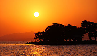 shinjiko